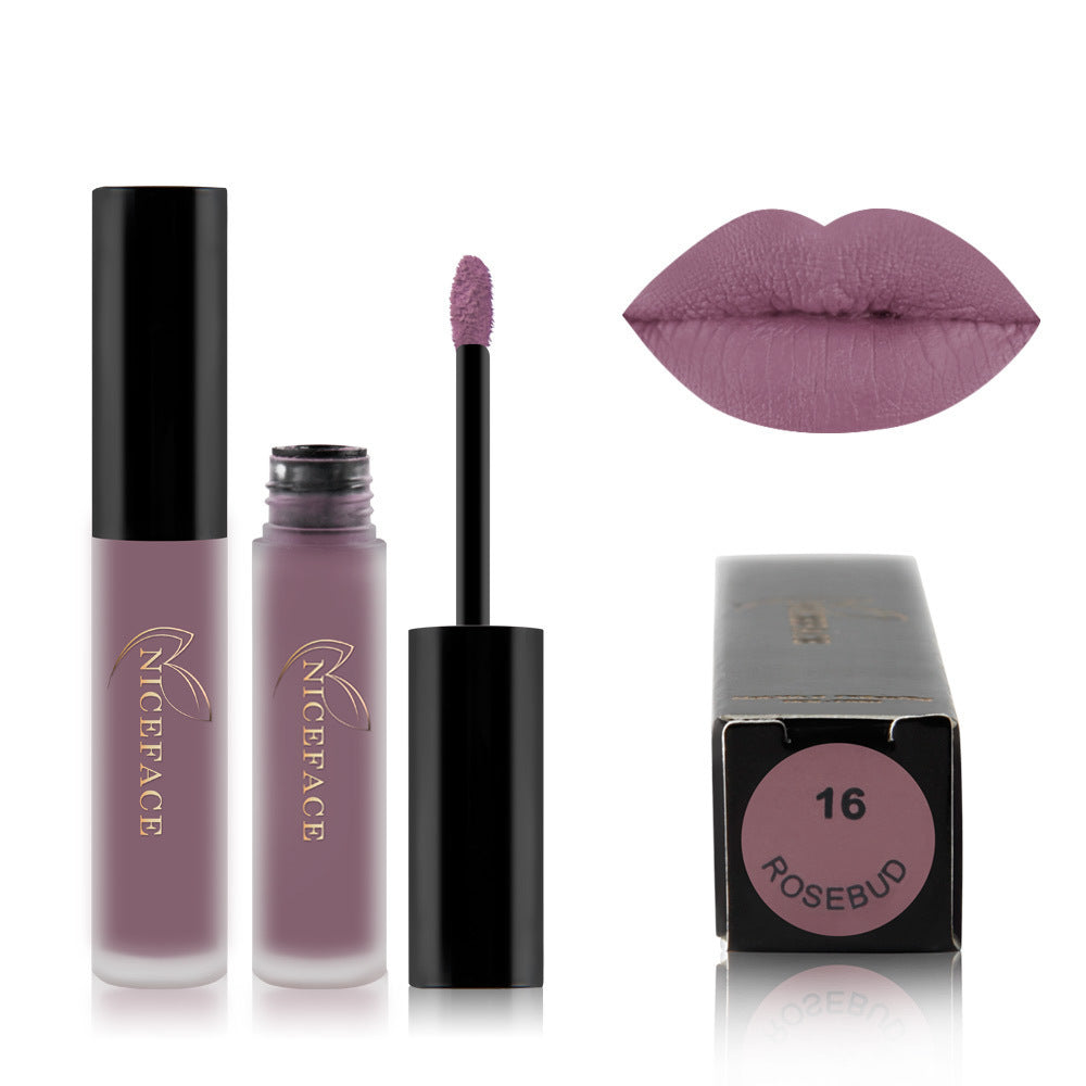 Meta Digital Store Makeup 24 color lip gloss